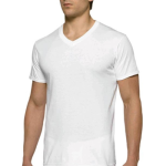 6-Pack Gildan Men’s V-Neck T-Shirt $11.97 (Reg. $15.76) | $2 each shirt!