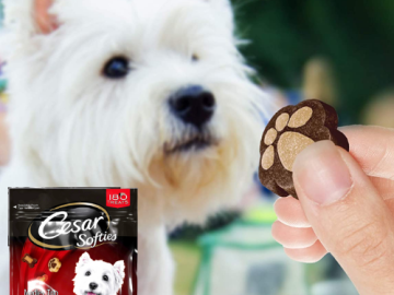 Cesar 180-Count Softies Dog Treats as low as $4.04 Shipped Free (Reg. $9) | $0.02/treat