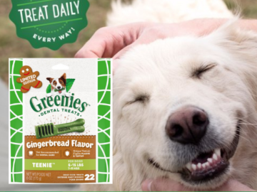 22 Count Greenies Gingerbread Dental Dog Treats $3.60 (Reg. $8.79) | 16¢/Treat – Ideal for dogs 5-15 lbs!