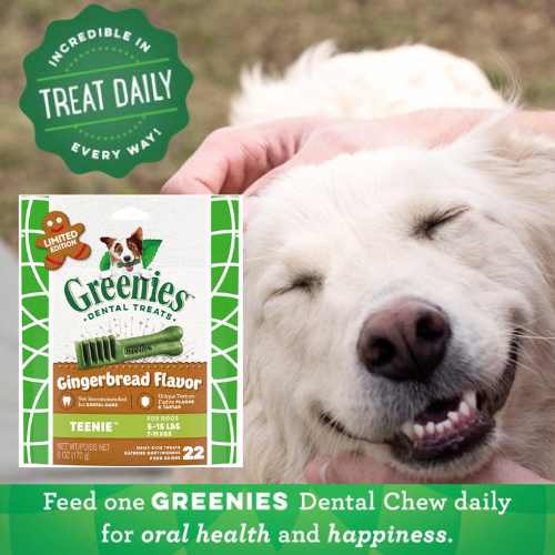 22 Count Greenies Gingerbread Dental Dog Treats $3.60 (Reg. $8.79) | 16¢/Treat – Ideal for dogs 5-15 lbs!