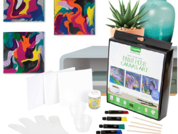 Crayola Signature Paint-Pour Canvas Art Kit $8.10 (Reg. $17.99)