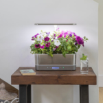 AeroGarden Harvest Elite Slim Indoor Garden with LED Grow Light $81.27 Shipped Free (Reg. $179.95)