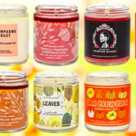 Bath & Body Works: Single Wick Candles only $4.99 today!