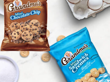 30 Bags Grandma’s Mini Cookies 2-Flavor Variety Pack as low as $9.65 Shipped Free (Reg. $17) – $0.32/Bag