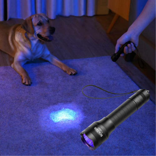 Anker’s Rechargeable UV LED Flashlight $16 Shipped Free (Reg. $26) – 900+ FAB Ratings!