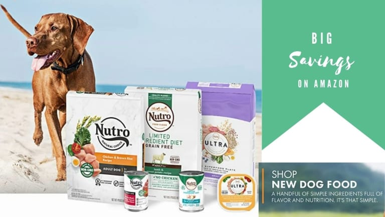 Amazon | Big Savings On Nutro Dog Food