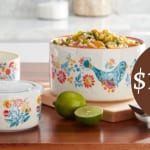 The Pioneer Woman 6-Piece Bowl Set for $15.33