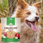 Nutro Crunchy Natural Biscuit Dog Treats, 16 Oz. as low as $6.89 Shipped Free (Reg. $15.99) – FAB Ratings! 15.9K+ 4.8/5 Stars!