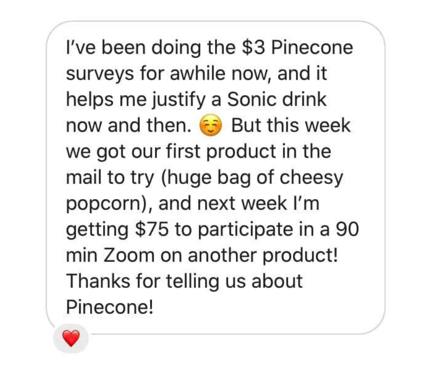 Pinecone Survey Testimonial