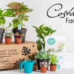 Amazon | Indoor Plant Deals For Your Home