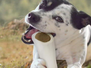 Cadet Peanut Butter Stuffed Shin Bone for Dogs as low as $6.64 (Reg. $12.06) – 1.7K+ FAB Ratings!