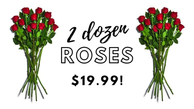 Amazon Deal | 2 Dozen Roses For $19.99