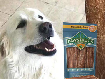 Today Only! Pawstruck Bully Sticks and Bones as low as $8.83 Shipped Free (Reg. $13+) – FAB Ratings!