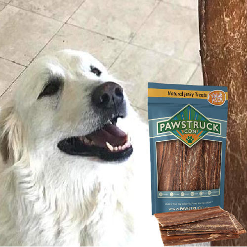 Today Only! Pawstruck Bully Sticks and Bones as low as $8.83 Shipped Free (Reg. $13+) – FAB Ratings!