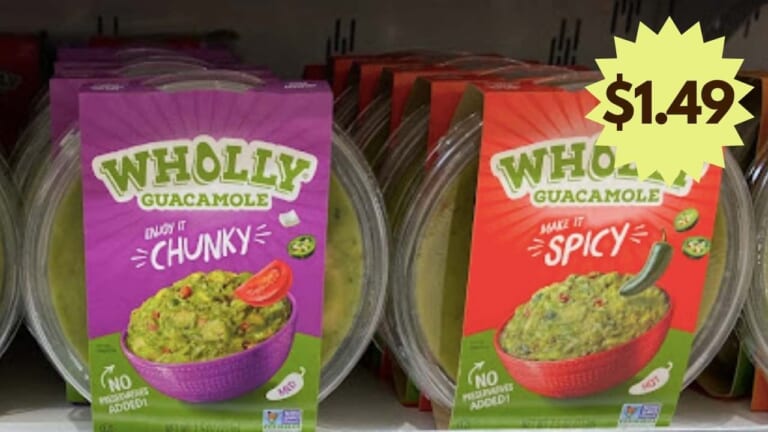 Wholly Guacamole Coupon | Makes it $1.49 at Publix