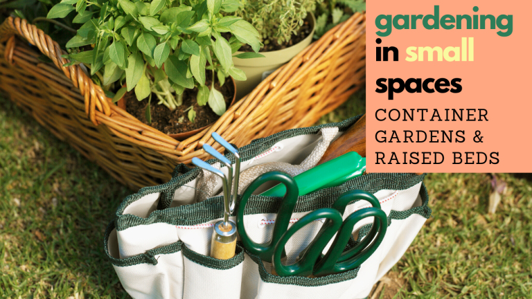 Gardening in Small Spaces: Container Gardens & Raised Beds