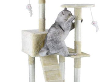 Up to 55% Cat Condos, Trees, and Castles!