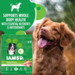 30 Lb Bags Select Iams Dry Dog Food as low as $15.68 Shipped Free (Reg. $33+) – From $0.53/Lb – $14 OFF First Purchase of Select Iams Dry Dog Food