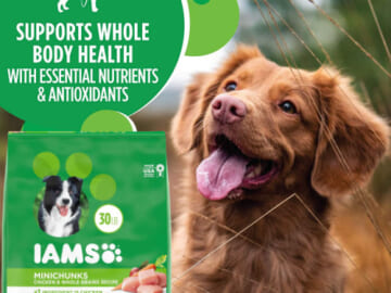 30 Lb Bags Select Iams Dry Dog Food as low as $15.68 Shipped Free (Reg. $33+) – From $0.53/Lb – $14 OFF First Purchase of Select Iams Dry Dog Food