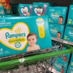 Stack the Savings on Pampers Diapers at Publix | Save $6 Off A Box