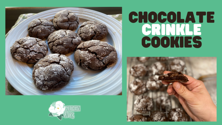 Chocolate Crinkle Cookies (made with cake mix!)