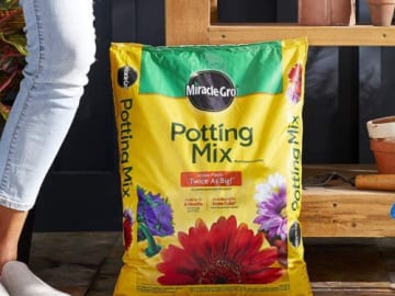 Miracle-Gro Potting Mix, 16 Qt as low as $6.64 Shipped Free (Reg. $8) – 23K+ FAB Ratings! Feeds up to 6 months