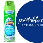 Scrubbing Bubbles Coupon | Save on Shower & Bathroom Cleaner