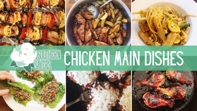 Southern Savers Favorite Chicken Main Dish Recipes