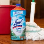 Lysol Disinfecting Wipes Or Multi-Purpose Cleaner As Low As $2.50 At Publix