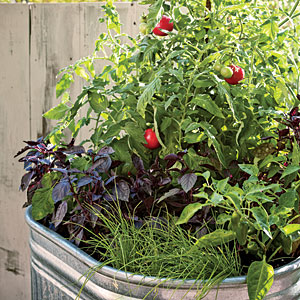 container-garden-1