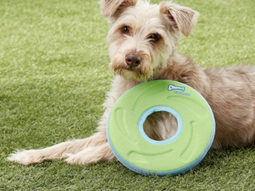 ChuckIt! Dog Frisbee for just $5.39 shipped! (Reg. $14)