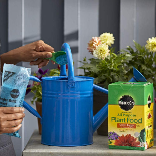 Today Only! Save BIG on Scotts, Miracle-Gro, and More from $6.54 (Reg. $12+)