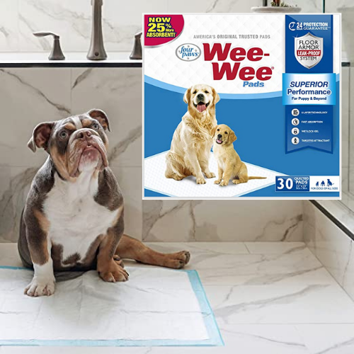 Four Paws 30 Count Wee-Wee Pee Pads for Dogs and Puppies as low as $16.19 Shipped Free (Reg. $23) – FAB Ratings! 15.6K+ 4.7/5 Stars! | 54¢/Pad