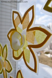 Daffodil16