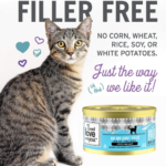 12-Pack I AND LOVE AND YOU Grain Free Canned Cat Food, 5.5 Oz as low as $11.39 Shipped Free (Reg. $24) | $0.95 per Can!