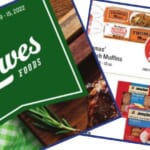 lowes foods weekly ad