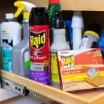 Be Ready To Tackle Pests In And Around Your Home With Raid® Products – On Sale At Publix