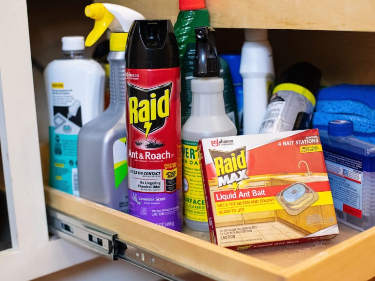 Be Ready To Tackle Pests In And Around Your Home With Raid® Products – On Sale At Publix