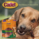 Save BIG on Cadet Dog Treats as low as $8.32 Shipped Free (Reg. $13.99) – 1.7K+ FAB Ratings! | Save extra 25% with Subscribe & Save Coupon!