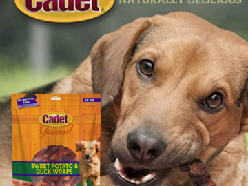 Save BIG on Cadet Dog Treats as low as $8.32 Shipped Free (Reg. $13.99) – 1.7K+ FAB Ratings! | Save extra 25% with Subscribe & Save Coupon!