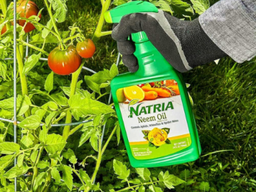 Natria Neem Oil Spray for Plants Pest Organic Disease Control, 24-Ounce $9.34 (Reg. $12) | Ready-to-Use Option To Stop Pests & Diseases!