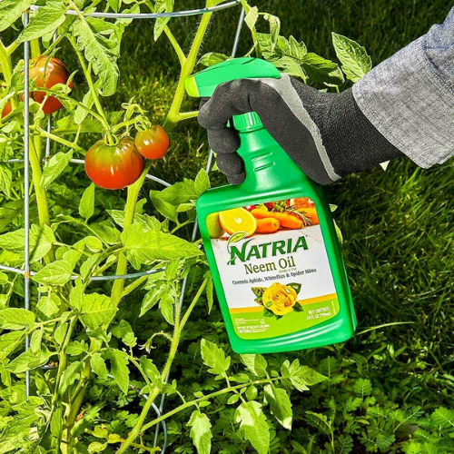 Natria Neem Oil Spray for Plants Pest Organic Disease Control, 24-Ounce $9.34 (Reg. $12) | Ready-to-Use Option To Stop Pests & Diseases!