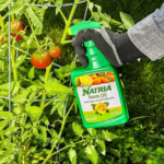 Natria Neem Oil Spray for Plants, 24-Ounce $9.34 (Reg. $12) | Organic Disease and Pest Control, Ready-to-Use Option