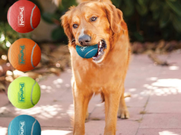 4 Pack Outward Hound Small Squeaker Ballz Fetch Dog Toys as low as $3.79 Shipped Free (Reg. $8) | $0.95 per Ball!