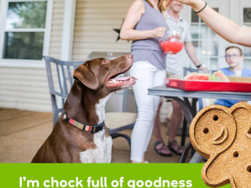 Buddy Biscuits Oven Baked Healthy Dog Treats, 3.5 Oz Bag as low as $5.22 Shipped Free (Reg. $14) – FAB Ratings! 12K+ 4.7/5 Stars!