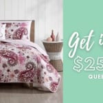 4-Piece Queen/King Quilt Sets For $25.49!