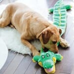 Outward Hound Gator Plush Squeaker Matz Dog Toy, XL $6.99  (Reg. $17) – FAB Ratings!