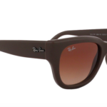 Ray-Ban 0RB4178 Sunglasses