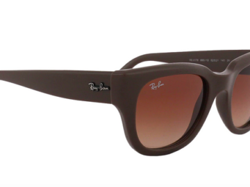 Ray-Ban 0RB4178 Sunglasses