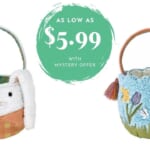 Kohl’s Mystery Offer + $5.99 Easter Baskets